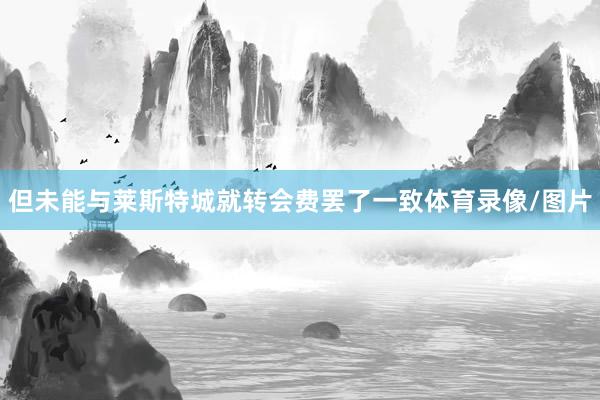 但未能与莱斯特城就转会费罢了一致体育录像/图片
