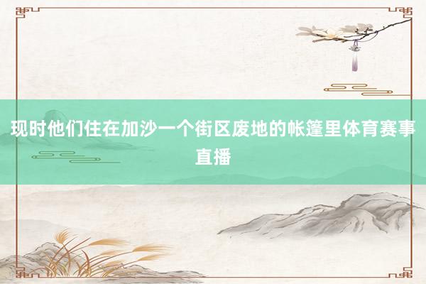 现时他们住在加沙一个街区废地的帐篷里体育赛事直播