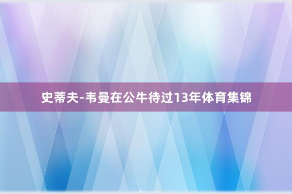 史蒂夫-韦曼在公牛待过13年体育集锦