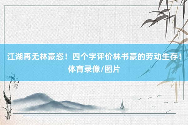 江湖再无林豪恣！四个字评价林书豪的劳动生存！体育录像/图片