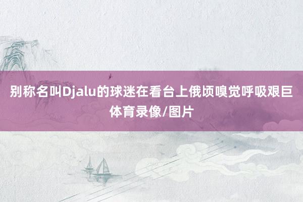 别称名叫Djalu的球迷在看台上俄顷嗅觉呼吸艰巨体育录像/图片