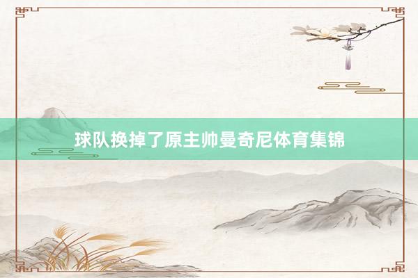 球队换掉了原主帅曼奇尼体育集锦