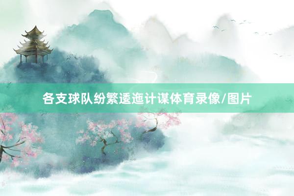 各支球队纷繁逶迤计谋体育录像/图片