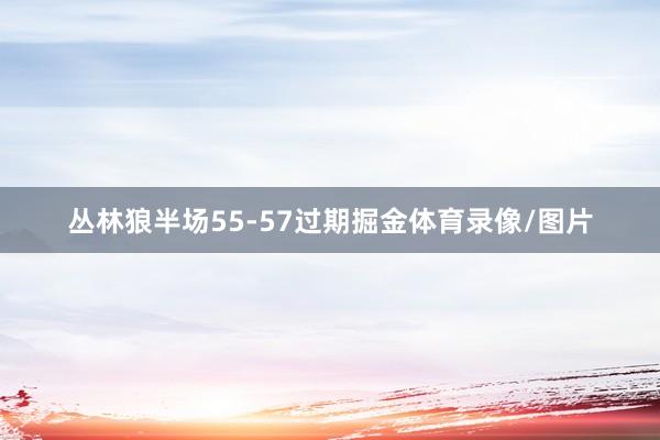 丛林狼半场55-57过期掘金体育录像/图片