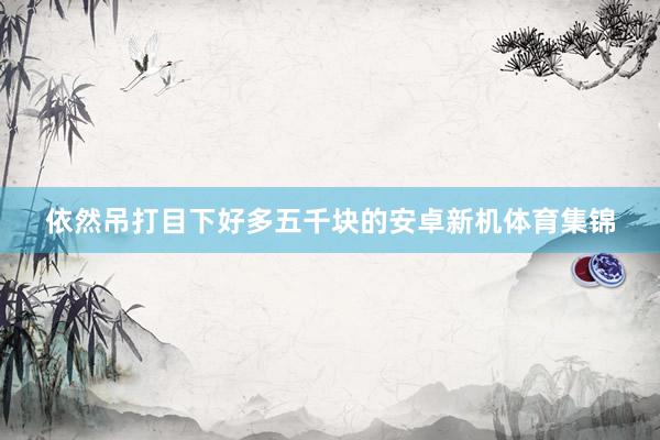 依然吊打目下好多五千块的安卓新机体育集锦