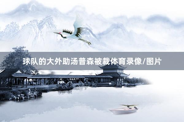 球队的大外助汤普森被裁体育录像/图片