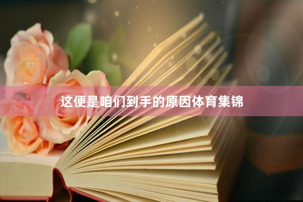 这便是咱们到手的原因体育集锦