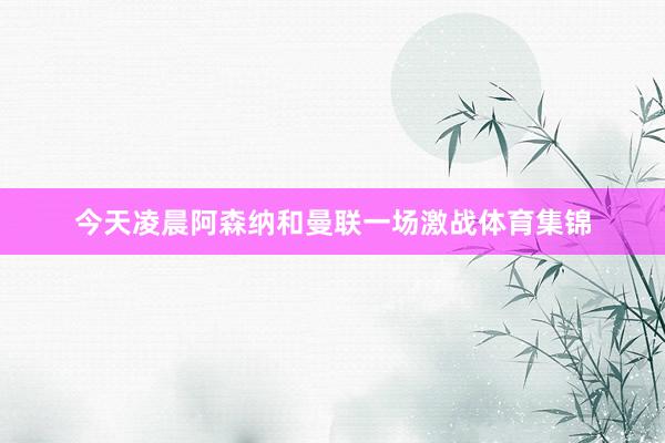 今天凌晨阿森纳和曼联一场激战体育集锦