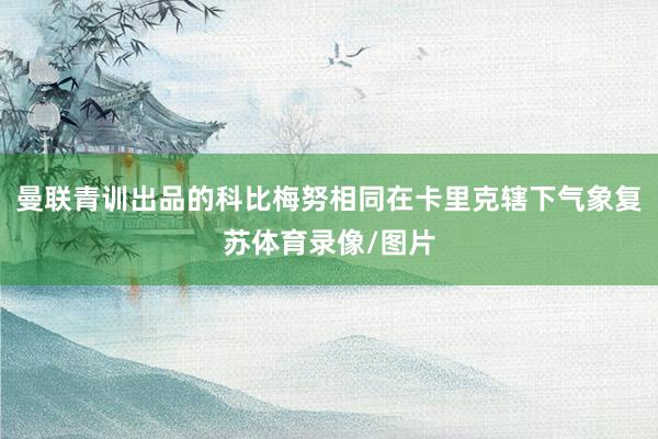 曼联青训出品的科比梅努相同在卡里克辖下气象复苏体育录像/图片