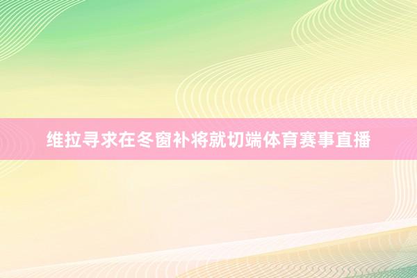维拉寻求在冬窗补将就切端体育赛事直播