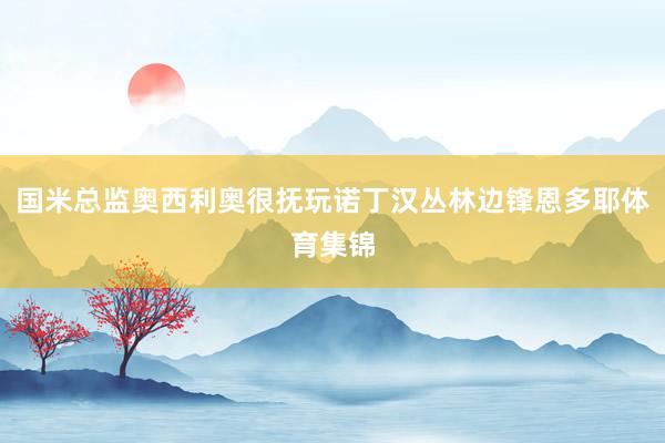 国米总监奥西利奥很抚玩诺丁汉丛林边锋恩多耶体育集锦