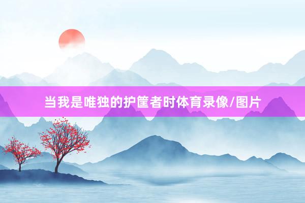 当我是唯独的护筐者时体育录像/图片