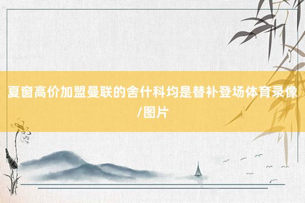 夏窗高价加盟曼联的舍什科均是替补登场体育录像/图片