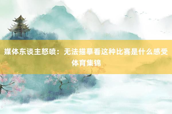 媒体东谈主怒喷：无法描摹看这种比赛是什么感受体育集锦
