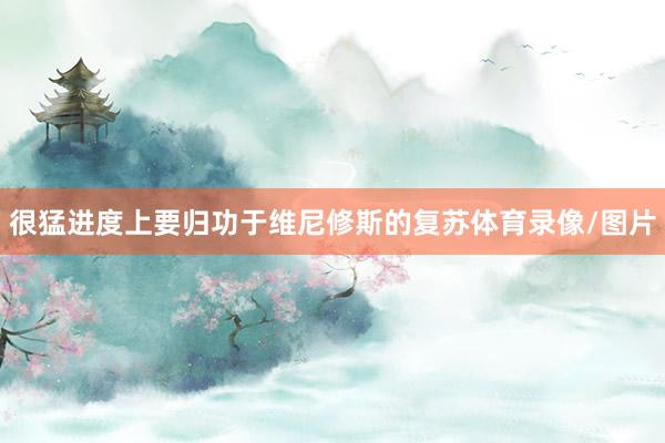 很猛进度上要归功于维尼修斯的复苏体育录像/图片