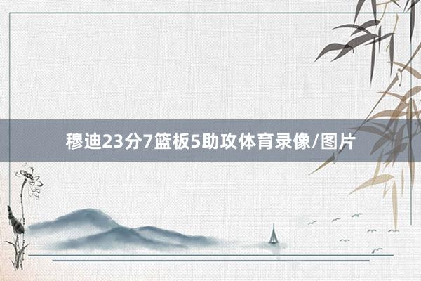 穆迪23分7篮板5助攻体育录像/图片