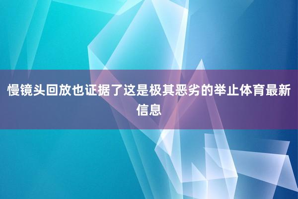 慢镜头回放也证据了这是极其恶劣的举止体育最新信息