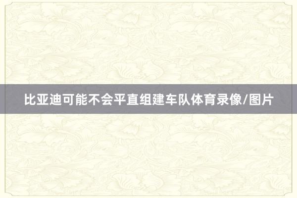 比亚迪可能不会平直组建车队体育录像/图片
