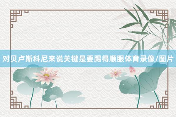 对贝卢斯科尼来说关键是要踢得顺眼体育录像/图片