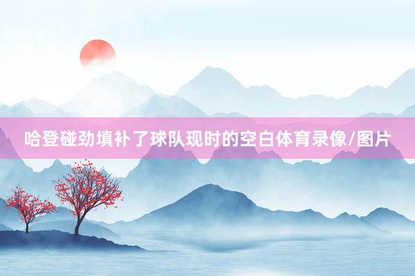哈登碰劲填补了球队现时的空白体育录像/图片