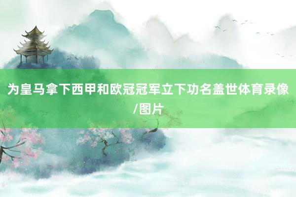 为皇马拿下西甲和欧冠冠军立下功名盖世体育录像/图片