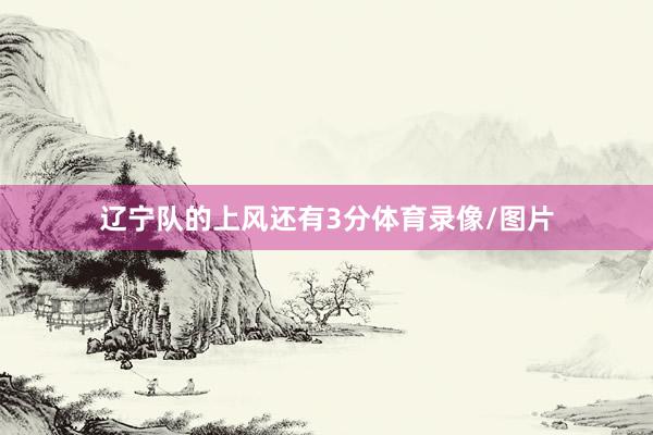 辽宁队的上风还有3分体育录像/图片