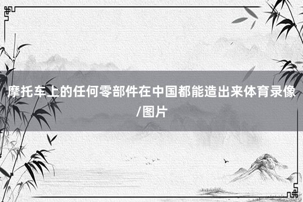 摩托车上的任何零部件在中国都能造出来体育录像/图片