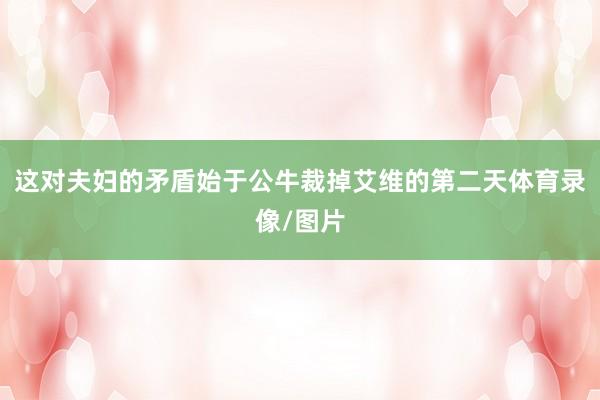 这对夫妇的矛盾始于公牛裁掉艾维的第二天体育录像/图片