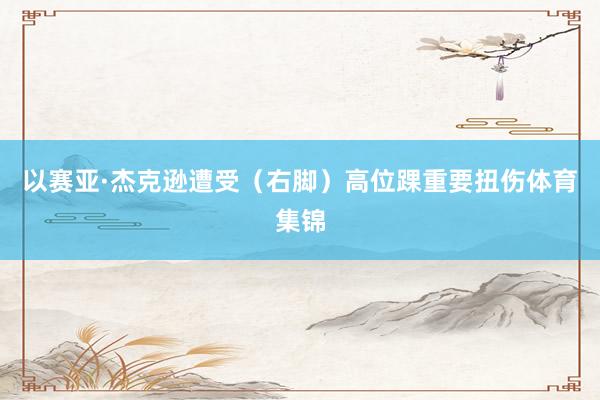 以赛亚·杰克逊遭受（右脚）高位踝重要扭伤体育集锦