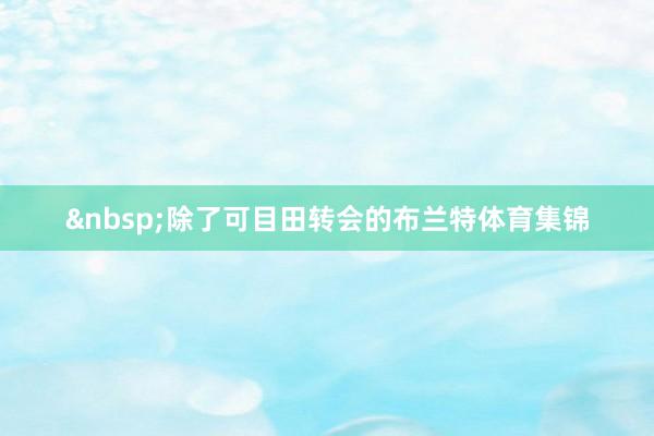 &nbsp;　　除了可目田转会的布兰特体育集锦
