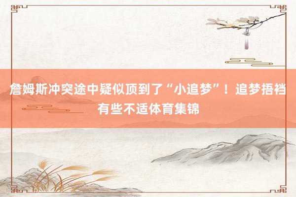 詹姆斯冲突途中疑似顶到了“小追梦”！追梦捂裆有些不适体育集锦