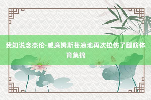 我知说念杰伦·威廉姆斯苍凉地再次拉伤了腿筋体育集锦