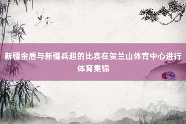 新疆金盾与新疆兵超的比赛在贺兰山体育中心进行体育集锦
