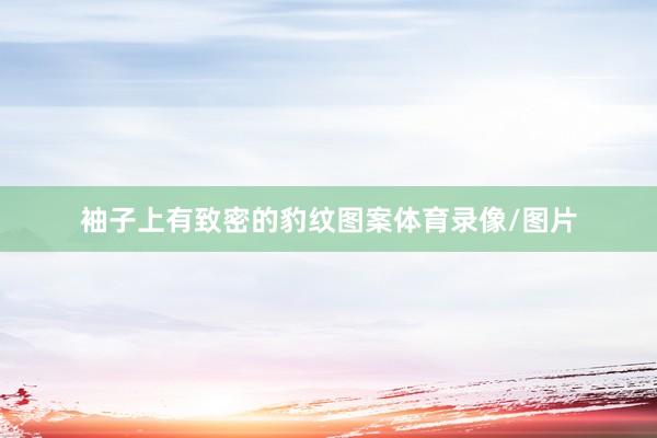 袖子上有致密的豹纹图案体育录像/图片