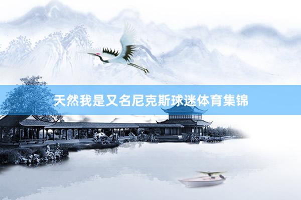 天然我是又名尼克斯球迷体育集锦
