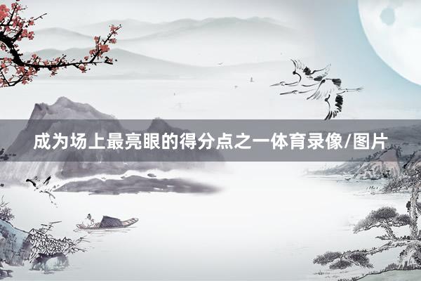 成为场上最亮眼的得分点之一体育录像/图片