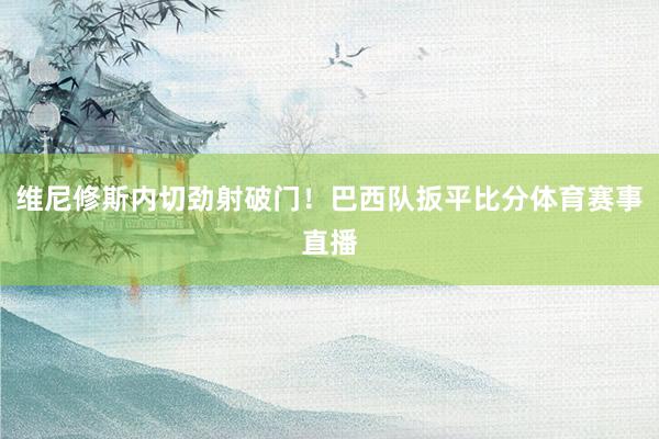 维尼修斯内切劲射破门！巴西队扳平比分体育赛事直播