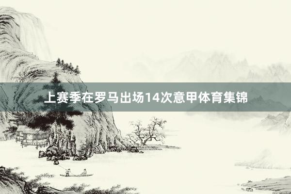 上赛季在罗马出场14次意甲体育集锦